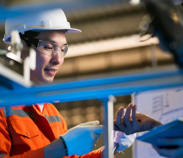 synergy and sustainability