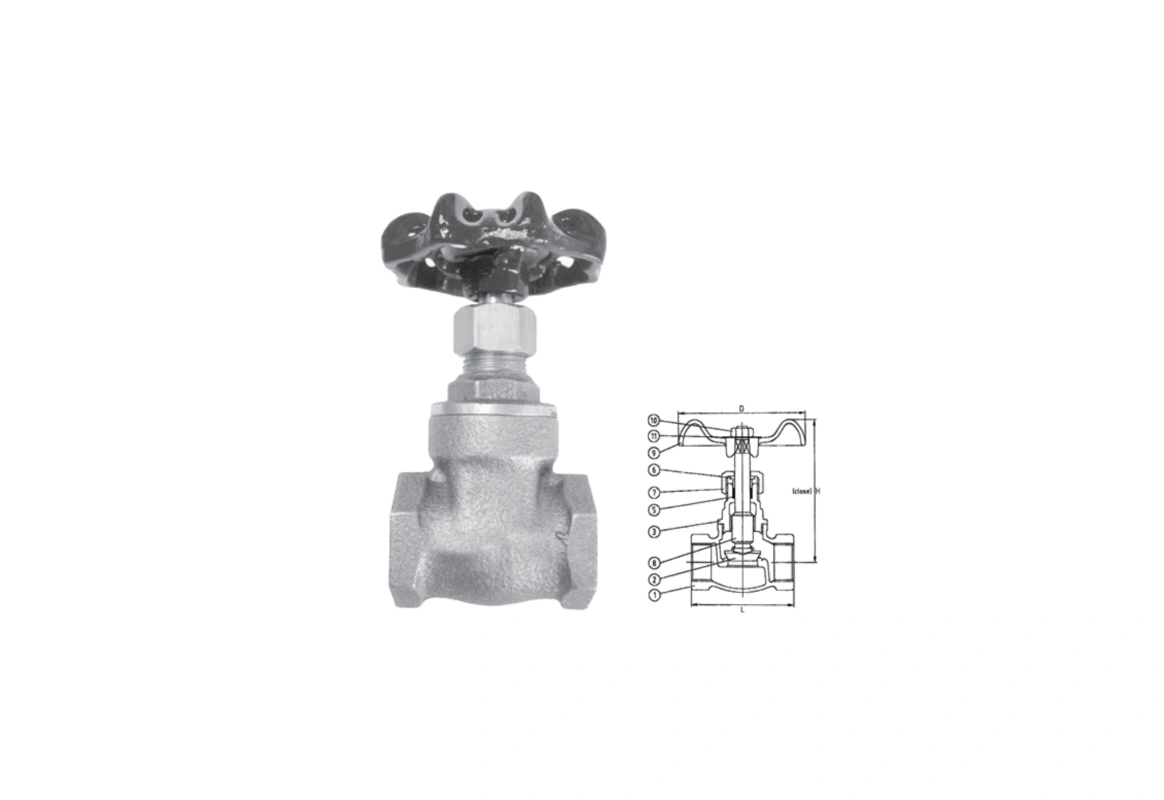 Gate Valve 455