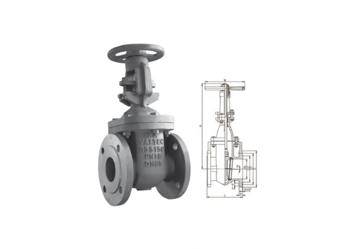 Gate Valve OV-40135
