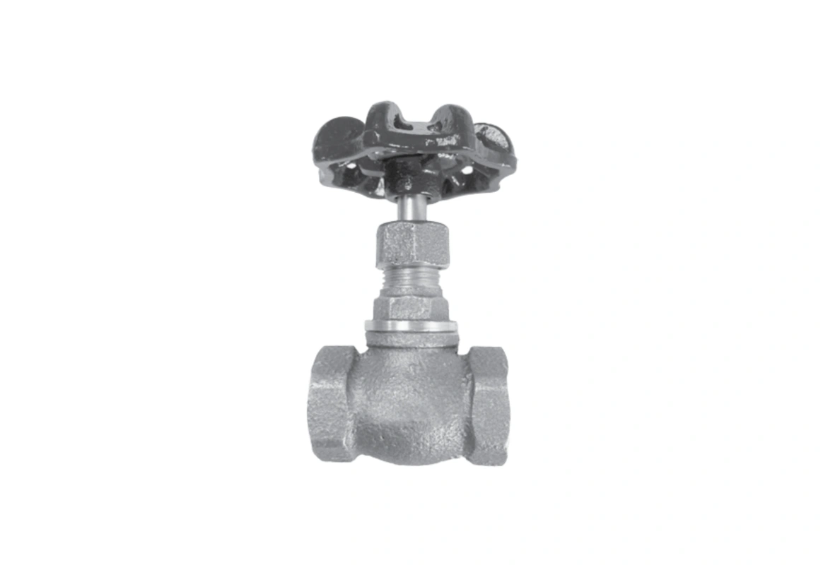 Globe Valve 555