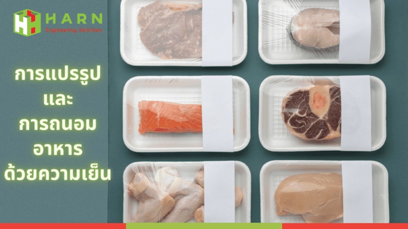 การแปรรูปและการถนอมอาหารด้วยความเย็น