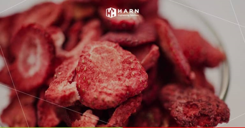 ทำความรู้จักกับการทำแห้งแบบ แช่เยือกแข็ง (Freeze Dry)