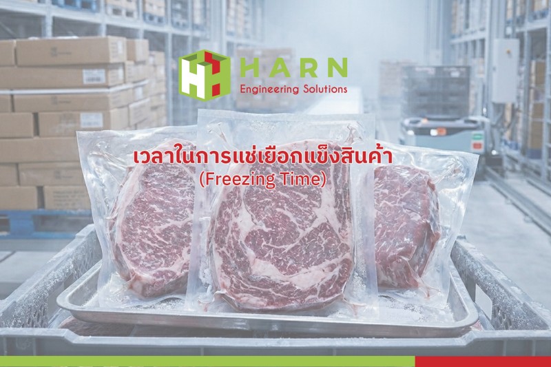 ตอนที่ 2 : เวลาในการแช่เยือกแข็งสินค้า (Freezing Time)