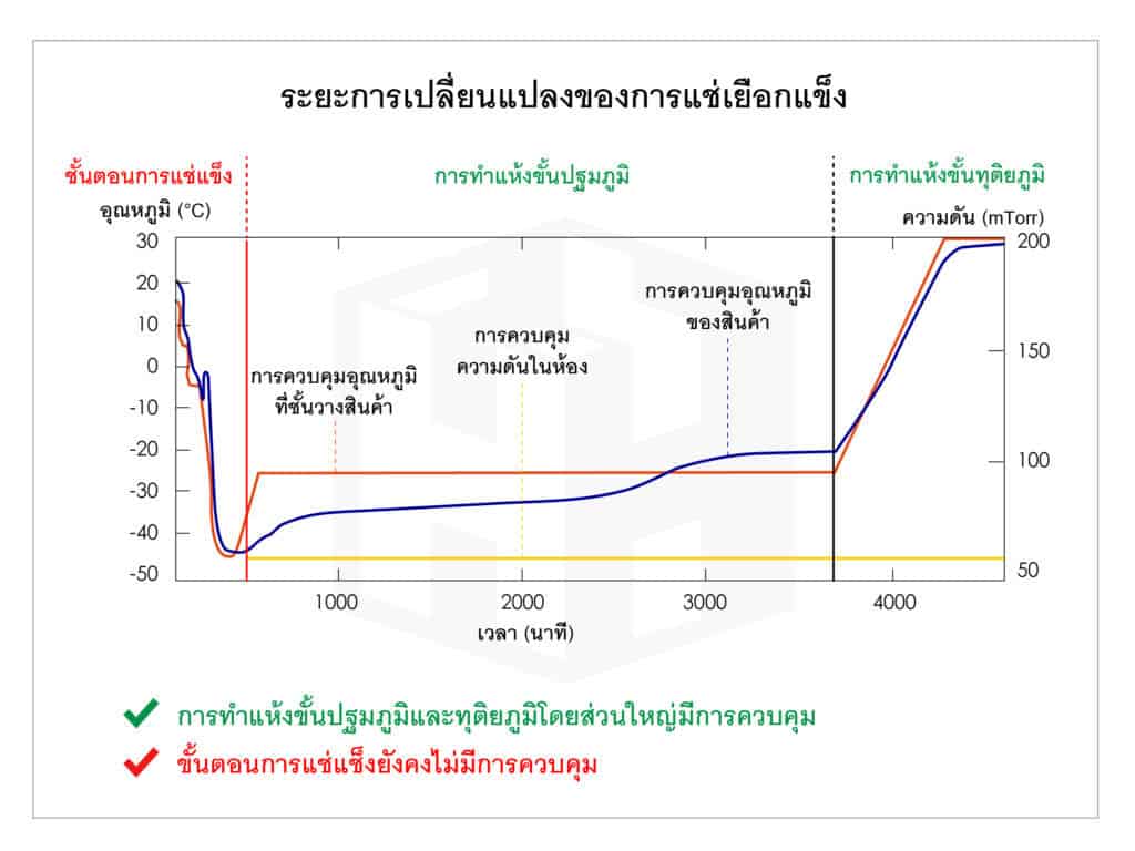 ทำความรู้จักกับการทำแห้งแบบแช่เยือกแข็ง (Freeze Dry)