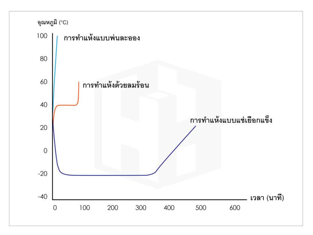 ทำความรู้จักกับการทำแห้งแบบแช่เยือกแข็ง (Freeze Dry)