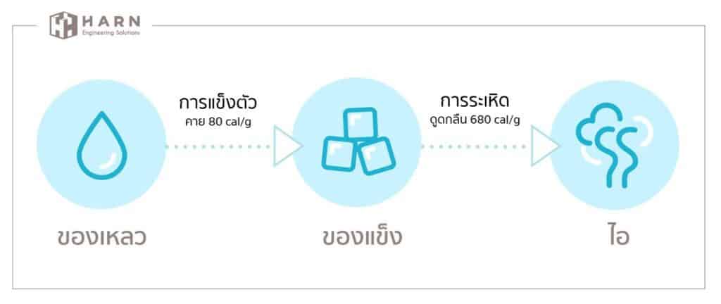 ทำความรู้จักกับการทำแห้งแบบแช่เยือกแข็ง (Freeze Dry)