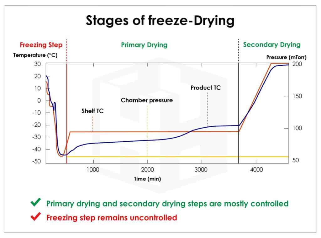 ทำความรู้จักกับการทำแห้งแบบแช่เยือกแข็ง (Freeze Dry)