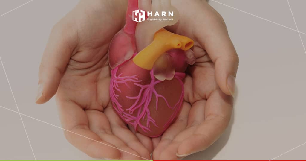 ทำความรู้จักกับวิศวกรรรมชีวการแพทย์แผนก 3D Med ของ Harn