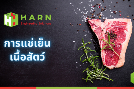 การแช่เย็นเนื้อสัตว์